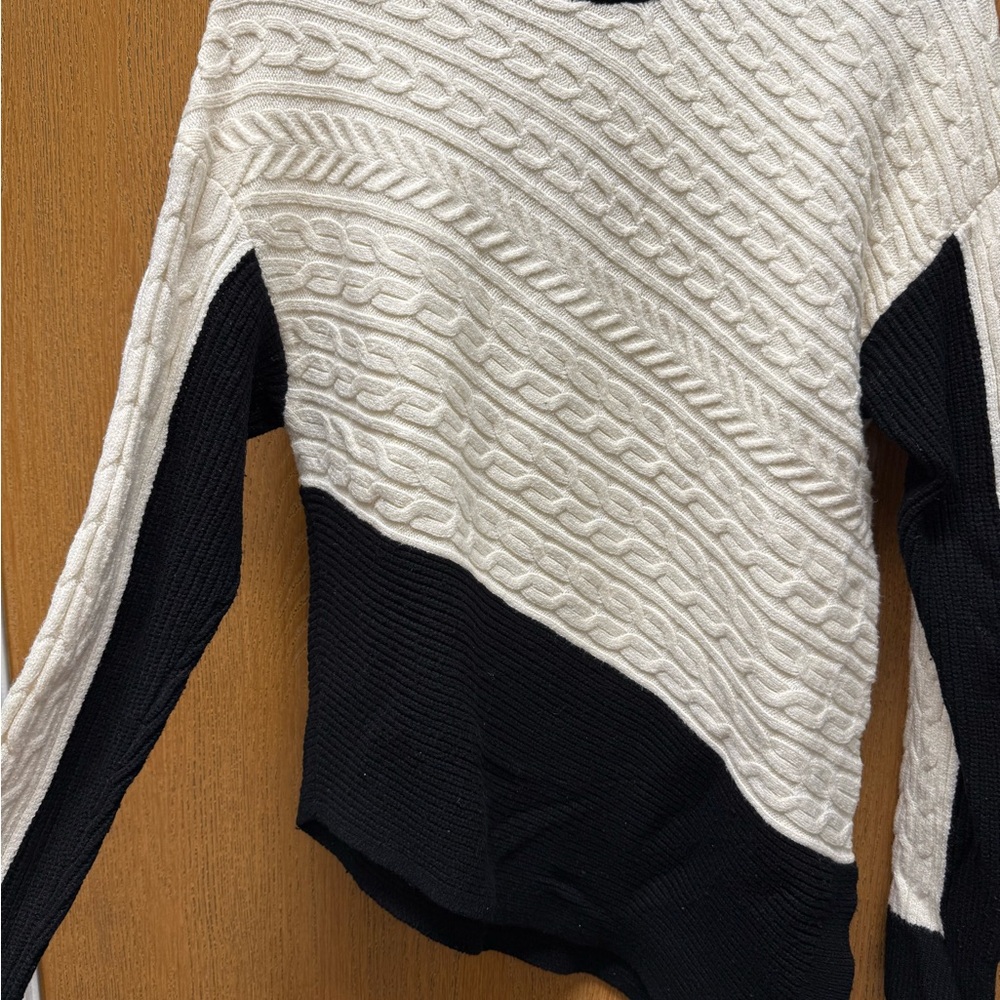 Express Black and Cream Diagonal Cable Knit Sweater